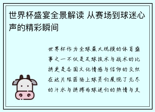世界杯盛宴全景解读 从赛场到球迷心声的精彩瞬间